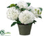 Silk Plants Direct Hydrangea - Cream Green - Pack of 1