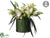 Cymbidium Orchid, Pond Reed Arrangement - Green - Pack of 1