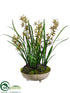 Silk Plants Direct Cymbidium Orchid Plant - Burgundy Green - Pack of 1