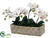 Phalaenopsis Orchid Plant - White - Pack of 4