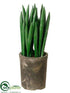 Silk Plants Direct Sansevieria - Green - Pack of 6