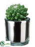 Silk Plants Direct Pincushion Cactus - Green - Pack of 12