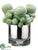 Mohave Cactus - Green - Pack of 4