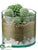 Hedgehog Cactus - Green - Pack of 2