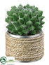 Silk Plants Direct Pincushion Cactus - Green - Pack of 6
