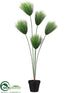 Silk Plants Direct Umbrella Grass Plant - Green - Pack of 2