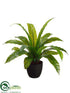 Silk Plants Direct Bird Nest Fern - Green - Pack of 4