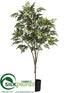 Silk Plants Direct Aralia Tree - Green - Pack of 4