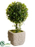 Silk Plants Direct Boxwood Topiary Ball - Green - Pack of 6