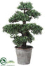 Silk Plants Direct Boxwood Bonsai - Green - Pack of 2