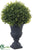 Boxwood Topiary Ball - Green - Pack of 8