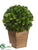 Button Leaf Ball Topiary - Green - Pack of 2