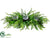 Tea Leaf, Curly Fern Centerpiece - Green - Pack of 2