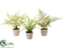 Silk Plants Direct Fern - Green - Pack of 2