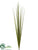 Reed Grass Bundle - Green Dark - Pack of 6