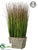 Grass - Green - Pack of 1