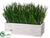 Grass - Green - Pack of 2