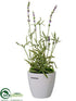 Silk Plants Direct Lavender - Lavender - Pack of 6