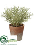 Silk Plants Direct Spanish Moss - Green Gray - Pack of 12