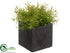 Silk Plants Direct Grass - Green Burgundy - Pack of 12