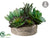 Succulent Garden - Green - Pack of 2