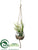 Succulent Garden - Green - Pack of 6