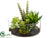 Succulent Garden - Green - Pack of 4