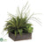 Succulent Garden Arrangement - Green - Pack of 2