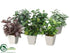 Silk Plants Direct Greenery Arrangement - Green Plum - Pack of 12