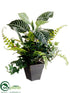 Silk Plants Direct Zebra Plant Mix - Green - Pack of 6