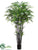 Black Bamboo Tree - Green - Pack of 2