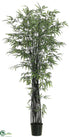 Silk Plants Direct Black Bamboo Tree - Black - Pack of 2