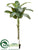 Banana Tree - Green - Pack of 2