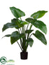 Silk Plants Direct Curcuma Plant - Green - Pack of 2