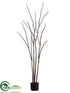 Silk Plants Direct Camel Whip Tree - Brown - Pack of 2