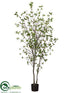 Silk Plants Direct Cornus Tree - Green - Pack of 2