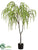 Juniper Tree - Green - Pack of 2