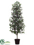 Silk Plants Direct Laurel Tree - Green - Pack of 2