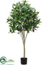 Silk Plants Direct Shikiba Topiary Tree - Green - Pack of 2