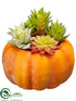 Silk Plants Direct Succulent Pumpkin - Green Burgundy - Pack of 6