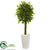 Silk Plants Direct Braided Ficus Artificial Tree - Pack of 1