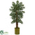 Silk Plants Direct Parlor Palm Artificial Tree - Pack of 1