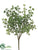 Eucalyptus Seed Bush - Green - Pack of 6