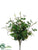 Eucalyptus, Berry Bush - Green Cream - Pack of 12