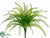 Fishtail Fern Bush - Green - Pack of 6