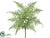 Boston Fern Bush - Green - Pack of 12