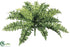 Silk Plants Direct Ruffle Fern Bush - Green - Pack of 6