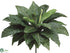 Silk Plants Direct Bird Nest Fern Bush - Green - Pack of 6