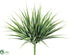 Silk Plants Direct Vanilla Grass Bush - Green Frosted - Pack of 24