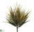 Vanilla Grass Bush - Green Burgundy Green Mustard - Pack of 24